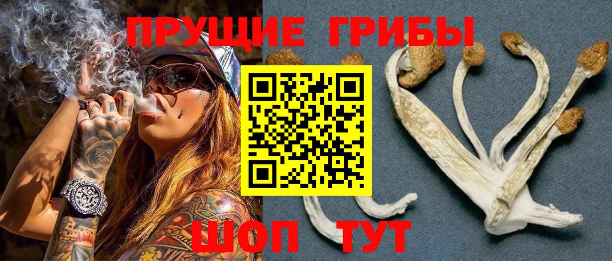 Осинники  Галлюциногенные грибы ЛСД  Вход с VPN 