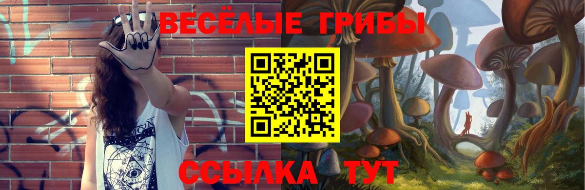 Галлюциногенные грибы Magic Shrooms Осинники